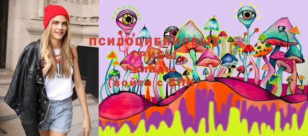 spice Волосово
