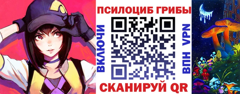 что такое наркотик  Камешково  Галлюциногенные грибы Psilocybe 